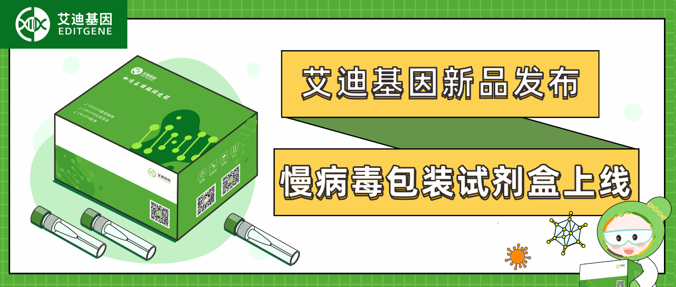 新品发布| EVO视讯 EVO真人生命基因慢病毒包装试剂盒全新上线！高滴度高效率，自主操作无忧下游实验！