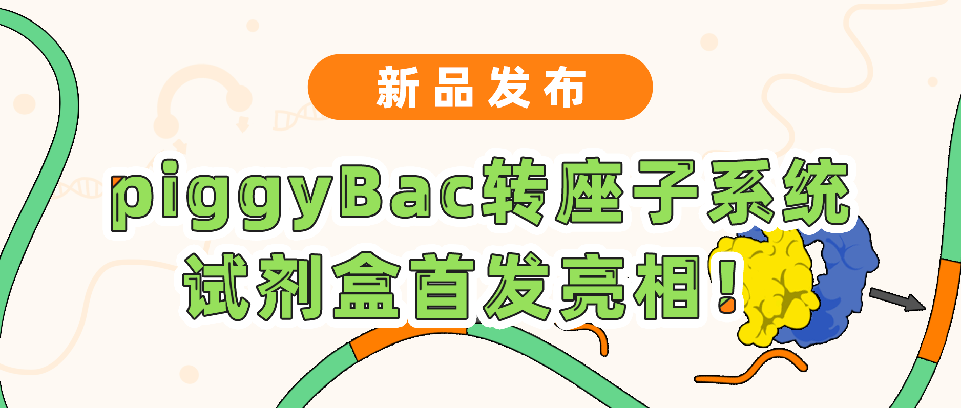 新品发布| EVO视讯 EVO真人生命基因piggyBac转座子系统试剂盒首发亮相！极速转座，千元不到体验高效基因递送！