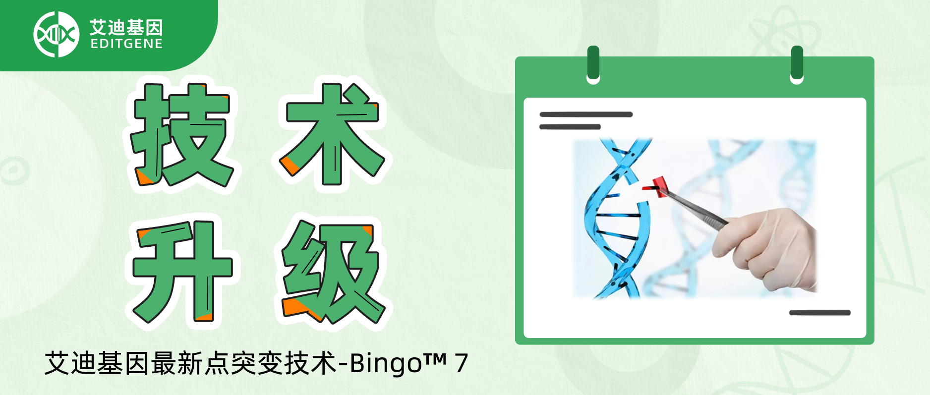 基因编辑精准与效率双向飙升！EVO视讯 EVO真人生命基因重磅推出升级基因定点突变技术-Bingo™ 7!
