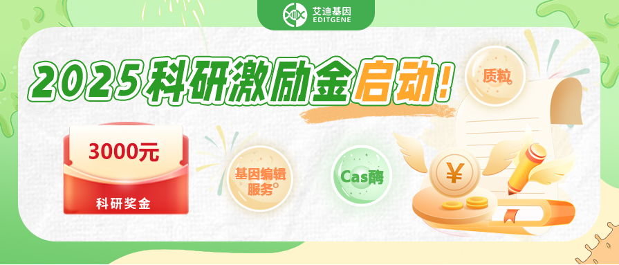 【EVO视讯 EVO真人生命基因】2025科研激励金启动！3000奖学金等你来拿！