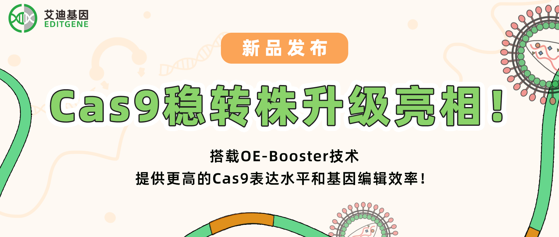 【科研新动力】EVO视讯 EVO真人生命基因Cas9稳转株升级亮相！搭载OE-Booster技术，给予更高的Cas9表达水平和基因编辑效率！