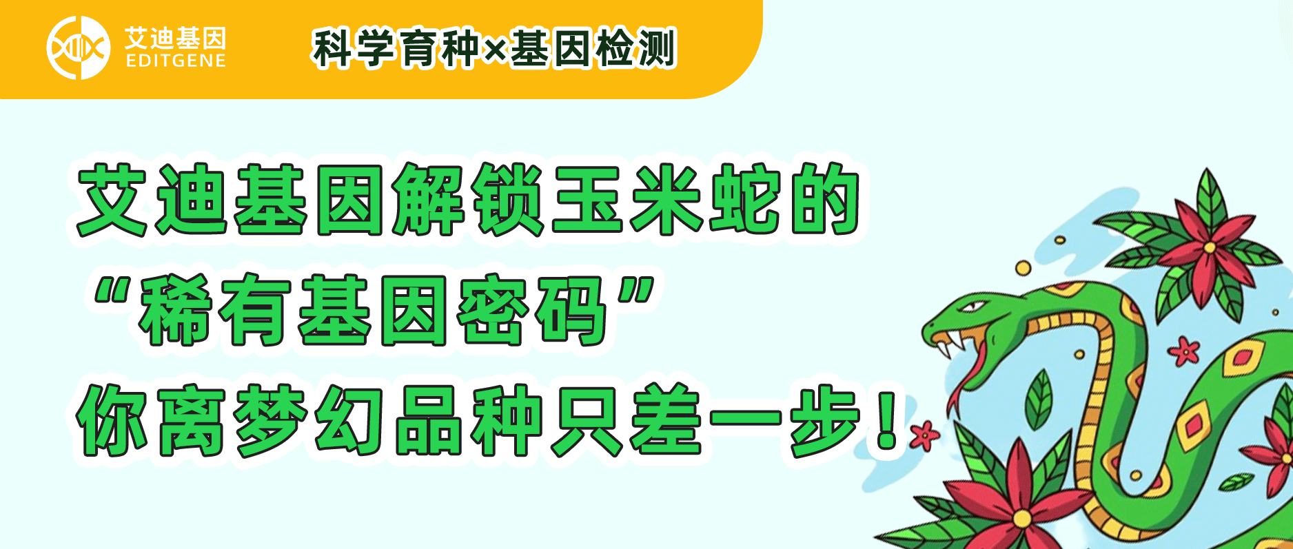 科学育种×基因检测 | EVO视讯 EVO真人生命基因解锁玉米蛇的“稀有基因密码”，你离梦幻品种只差一步！