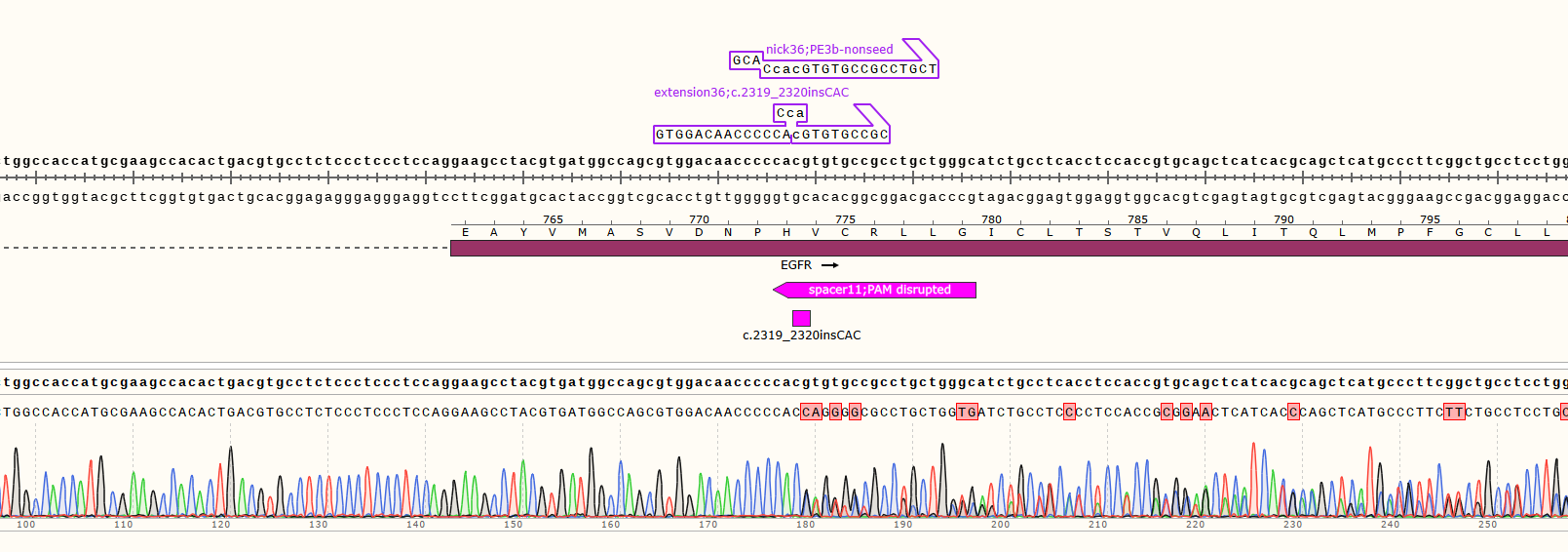 Editing efficiency assays