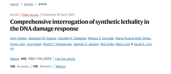 Comprehensive interrogation of synthetic lethality in the DNA damage response