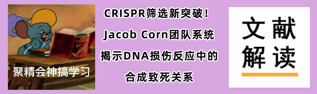CRISPR筛选新突破！或能为癌症靶向治疗给予新的方向