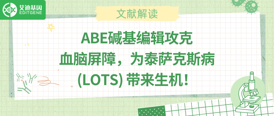 “基因手术刀”横空出世：泰萨克斯病迎来一次治愈希望