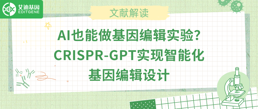 AI也能做基因编辑实验？CRISPR-GPT实现智能化基因编辑设计