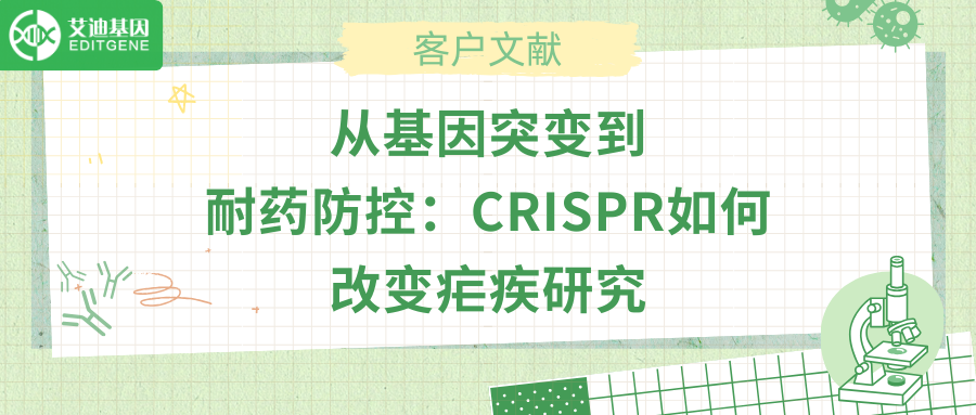 从基因突变到耐药防控：CRISPR如何改变疟疾研究