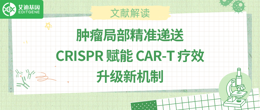 肿瘤局部精准递送，CRISPR 赋能 CAR-T 疗效升级新机制