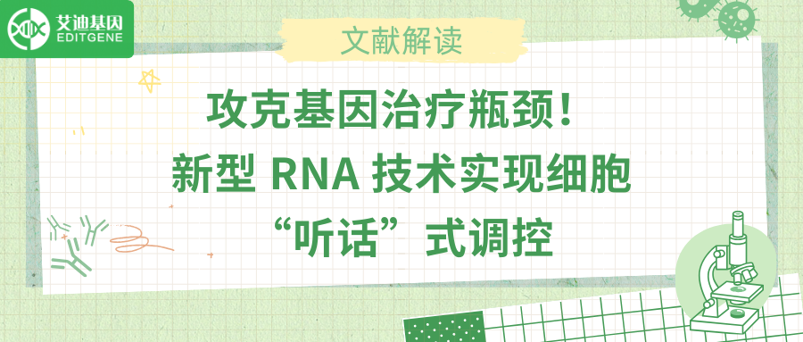 攻克基因治疗瓶颈！新型 RNA 技术实现细胞“听话”式调控