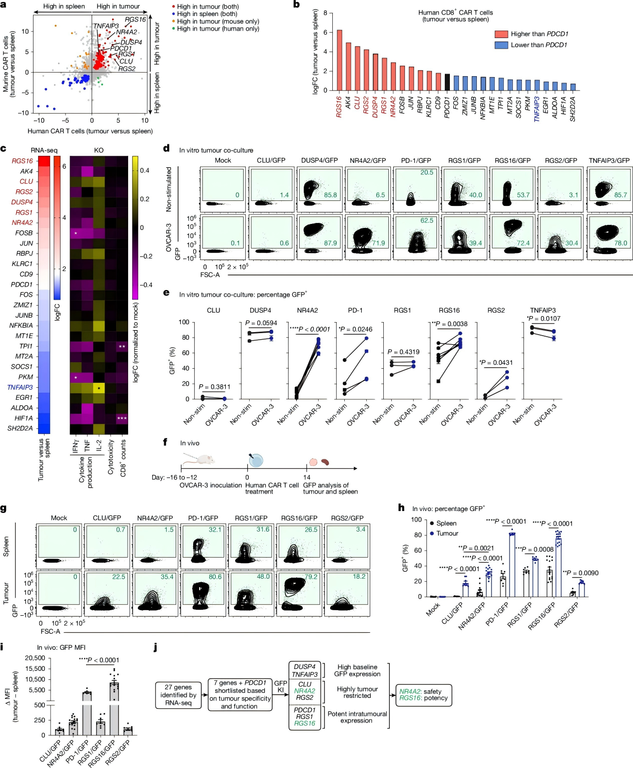 识别CRISPR工程化装甲T细胞的最佳靶基因