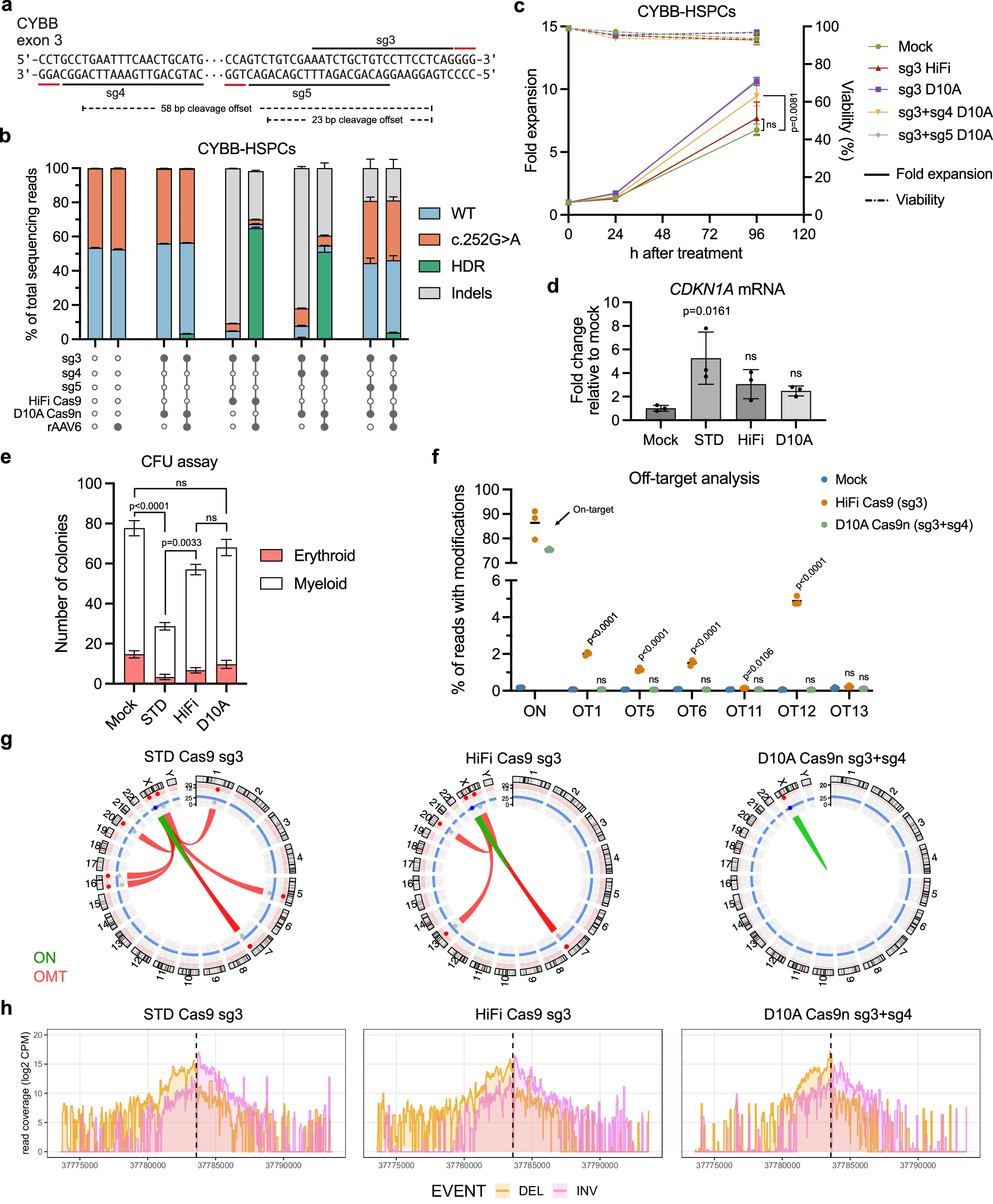 配对D10A Cas9n基因编辑的安全性与靶向效率