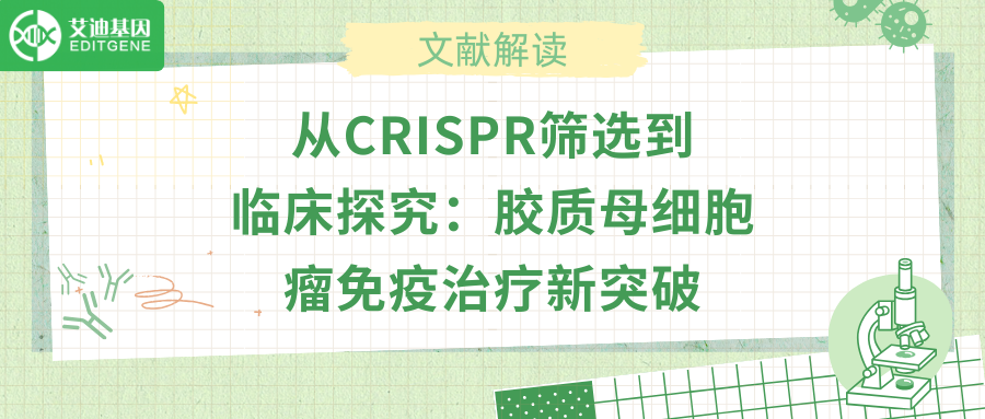 从CRISPR筛选到临床探究：胶质母细胞瘤免疫治疗新突破